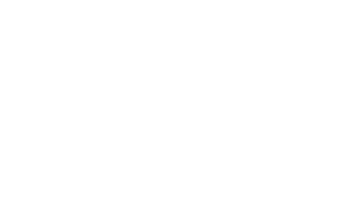 Angel Pro-Clean